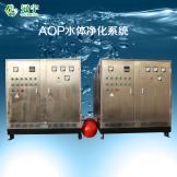 AOP水體凈化系統一組
