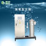 300g空氣型臭氧發生器