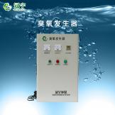20g氧氣型臭氧發生器